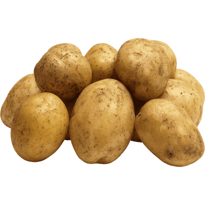 Potato